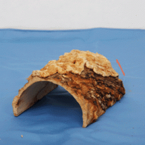 Wooden Hides
It can keep in the reptile home to hide for them..It made by rubber trees.
These have three sizes.First one is 15cm,seconed one is 20cm,t