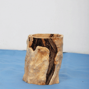 log
