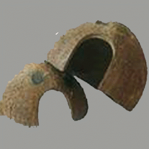 domes copy