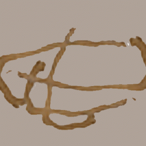 coco vine copy
