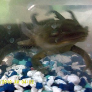 DSCF0026