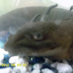 DSCF0027