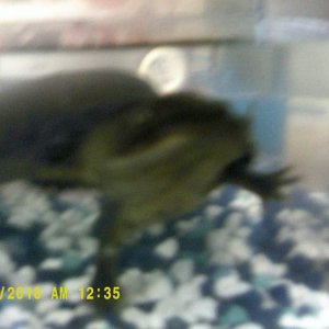 DSCF0017