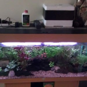 FBN Tank with cooler on top