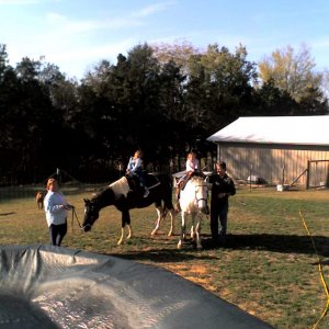 my kids riding the horses with grandparents.