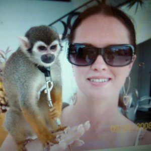 monkey