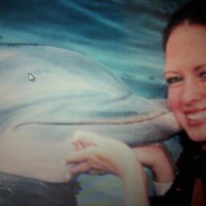 dolphin