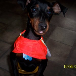 buster