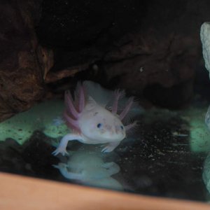 In new home