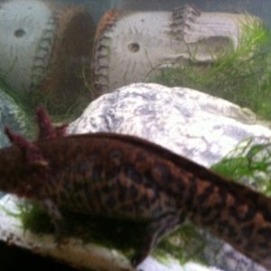 IMG 0410[1]