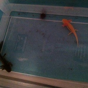 IMG 0376[1]