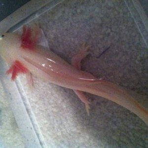 IMG 0359[1]