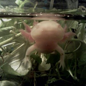My baby boy