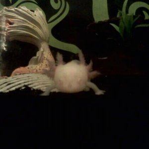 Watchin me :)
