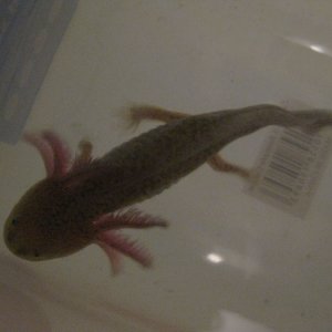 small photos 024