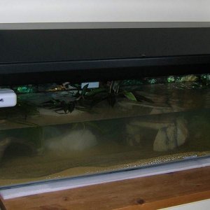 Their home :)