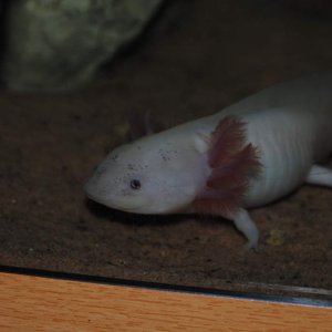 DSC 0148