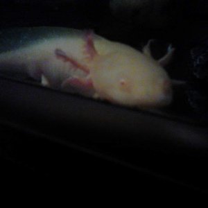 i see you looking at me  an i say no smile unless you got food
