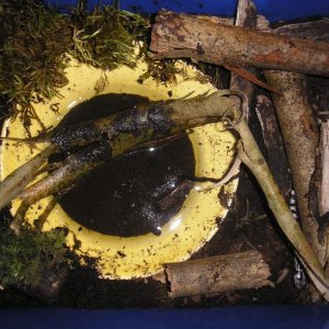 P1010054