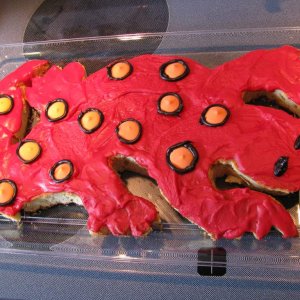 And here is the cake I made for my daughter's 7th birthday in early September 2011 (her request--"Make me a cake that looks just like Rango!")