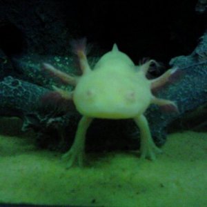 this is my log