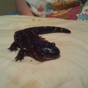 She looks huge in this picture