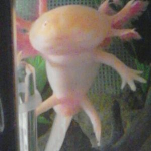 hey im here now bring me worms