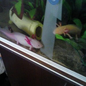 still checking each other out
