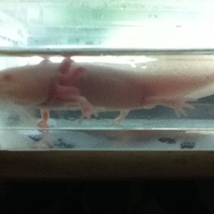 photo (2)