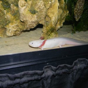 DSCN1660