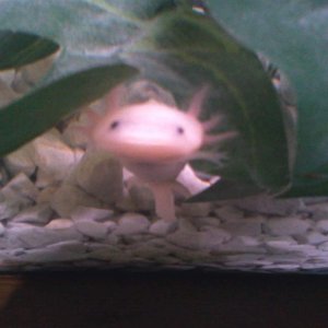 I see you looking at me looking at you.