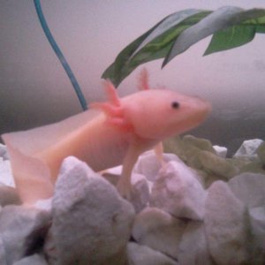 Is this my good side?