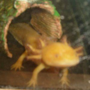 camera 14.02.12 055