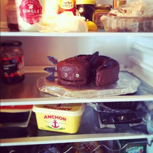 I had to fridge my axie.