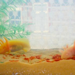 Synchronized shtuffing. <3  Feb 21, 2012