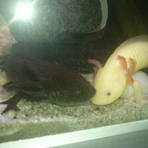 Two pretty boys