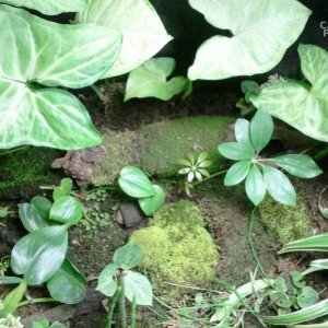 2012 03 15 12.30.44