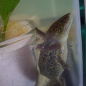"another worm, please?"
