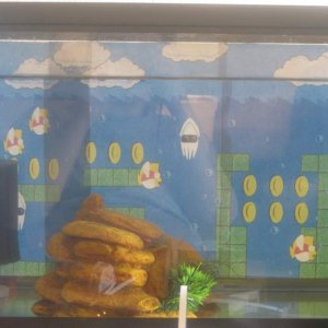 3/24/2012

a picture of her tank background. Her tank is very basic right now.