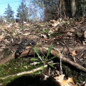 photo (6)