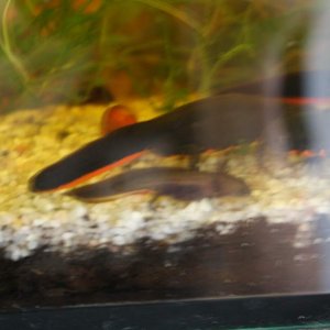 IMG 3255