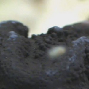 0010