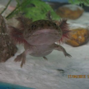 "Come on, stop taking pictures and get me some food"