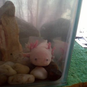 IMG 20120416 00125
