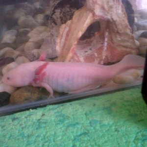 IMG 20120416 00126