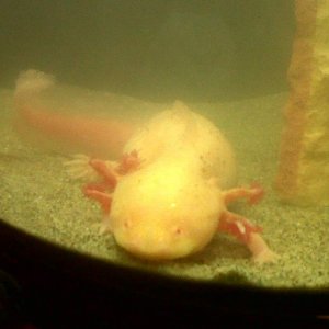 IMG00043 20101222 1826