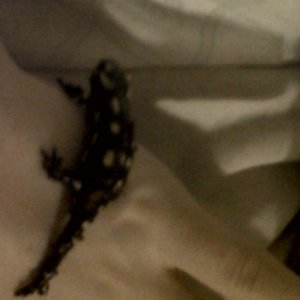 IMG00718 20110824 0038