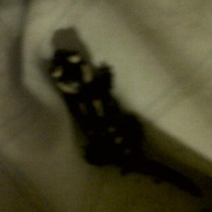 IMG00719 20110824 0038