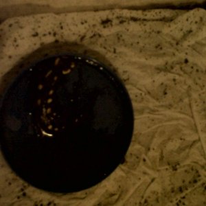 IMG00720 20110824 0042