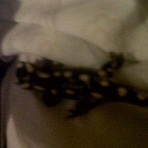 IMG00749 20110919 0024